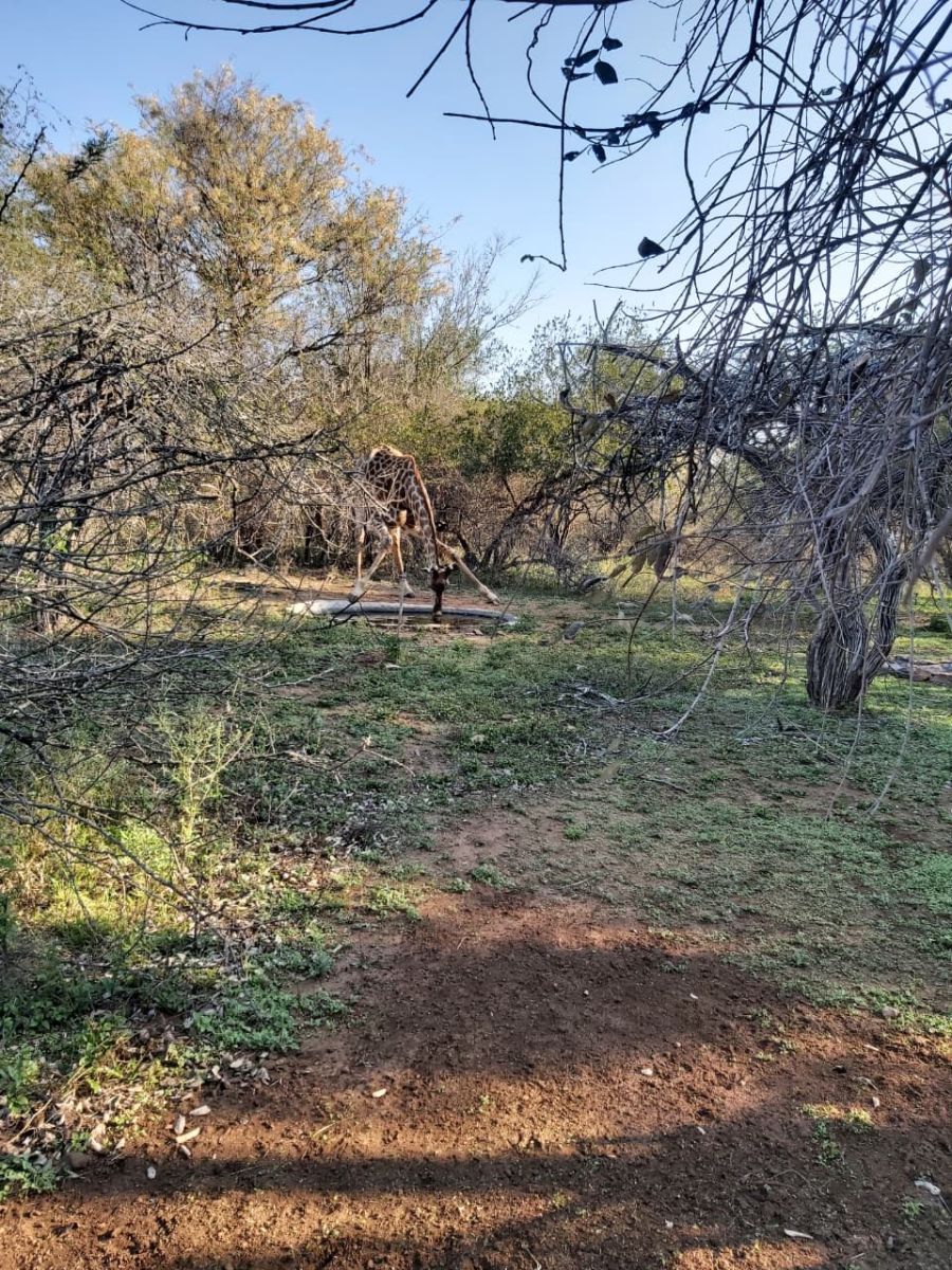 Doringpoort Safari Lodge